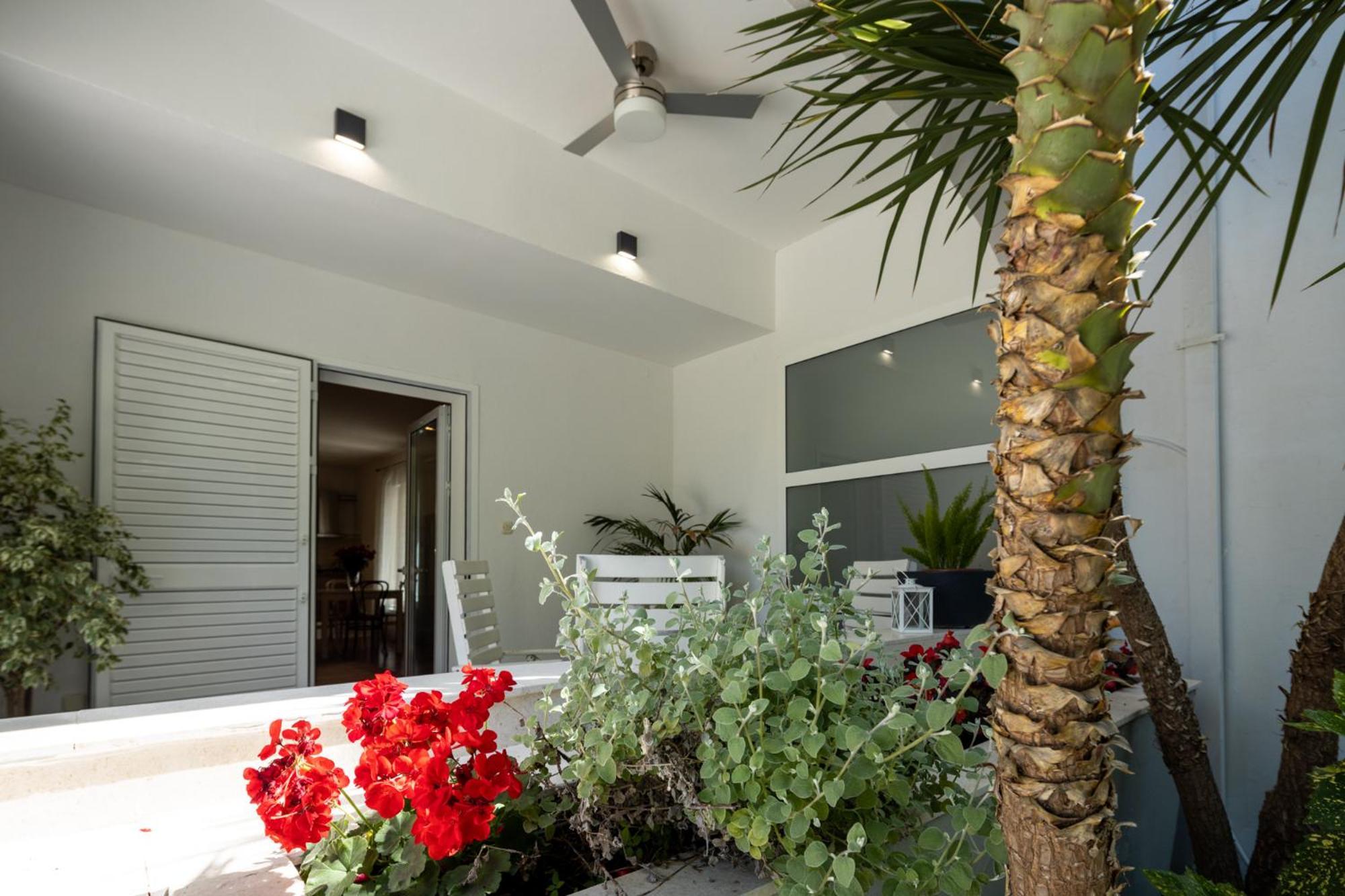 Apartments Dada บีโอกราดนาโมรู ภายนอก รูปภาพ